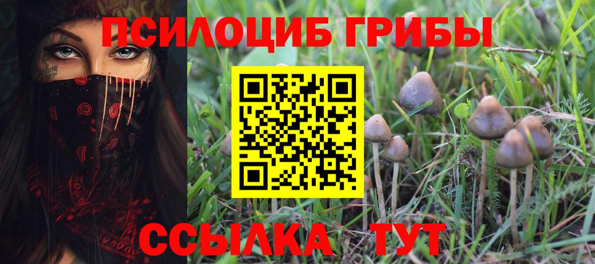 Псилоцибиновые грибы Magic Shrooms Биробиджан