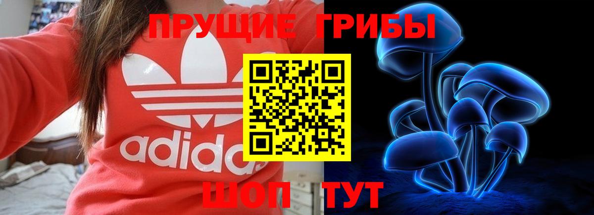 Псилоцибиновые грибы Psilocybine cubensis  Псилоцибиновые грибы MAGIC MUSHROOMS  Биробиджан  дарнет шоп  Вход с VPN 