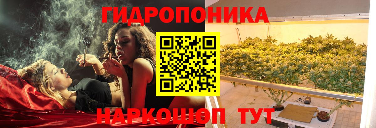 Бошки Шишки ГИДРОПОН  Каннабис VHQ  Канабис MAZAR  Биробиджан  Вход с VPN  МАРИХУАНА Bruce Banner 